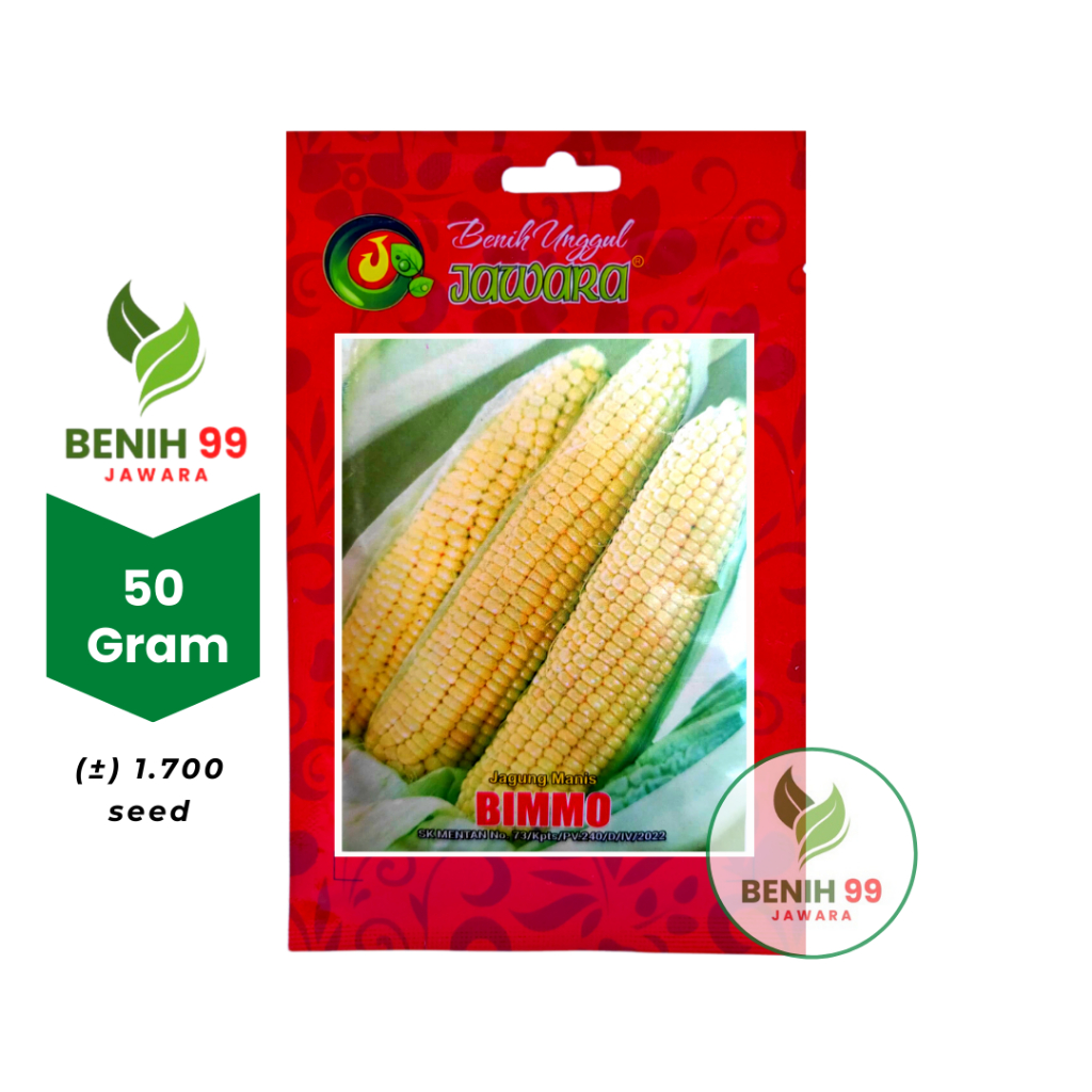Benih jagung manis BIMMO JAWARA