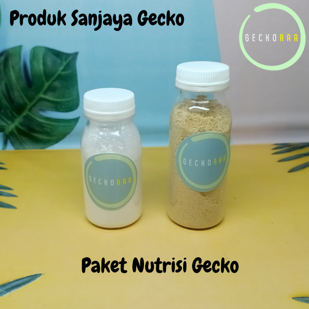 Paket Nutrisi Gecko AFT Bundle Kalsium Gutload Calcigecko Indogutload