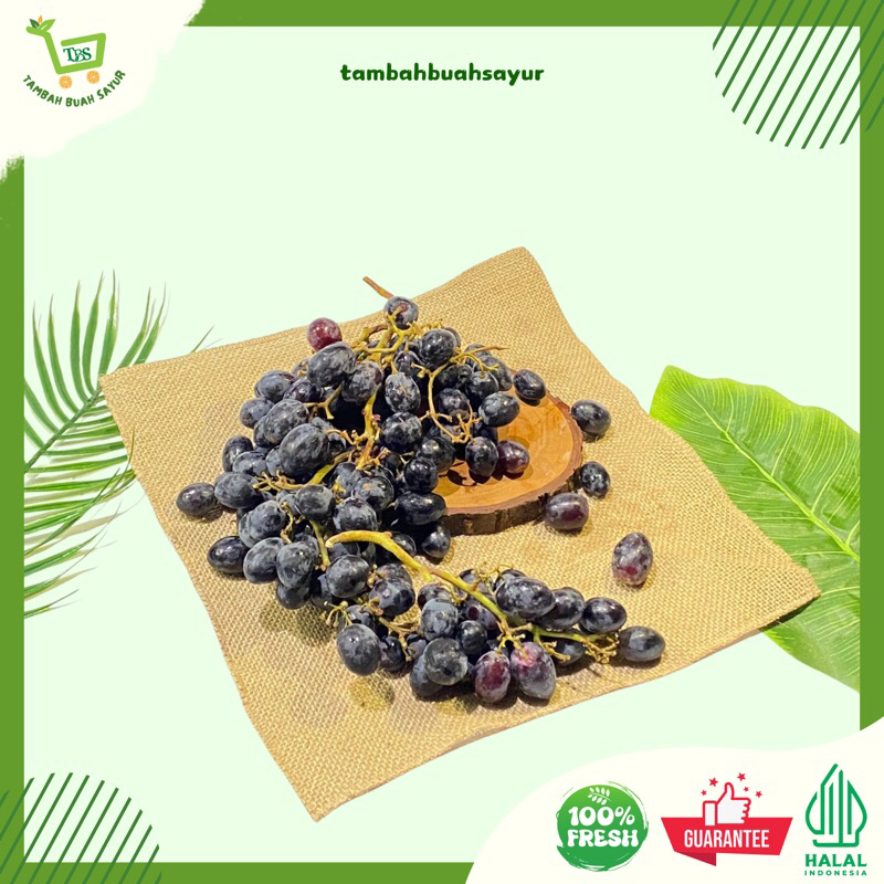 

ANGGUR AUTUMN PREMIUM (KHUSUS SAMEDAY DAN INSTAN)