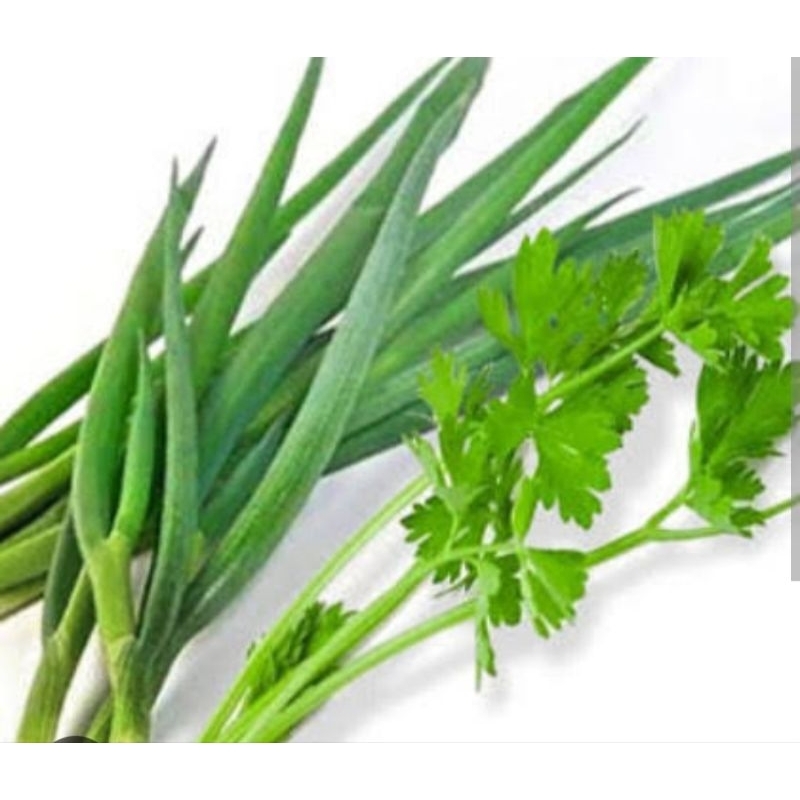 

Daun Bawang Sledri (1ikat)
