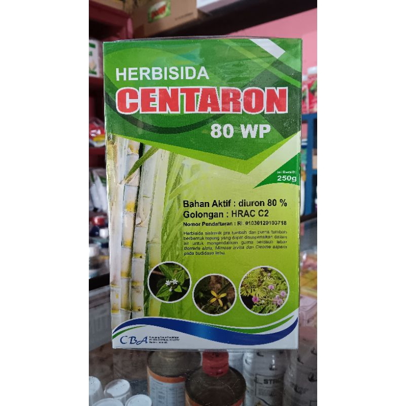 CENTARON 80 WP HERBISIDA RUMPUT LULANGAN