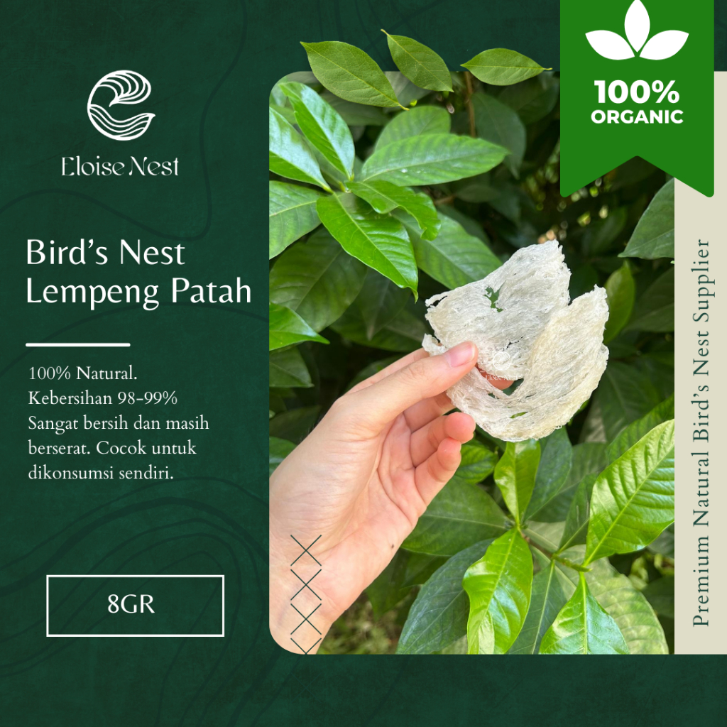 

SARANG BURUNG WALET BIRD NEST PATAHAN LEMPENG BERSIH 99%