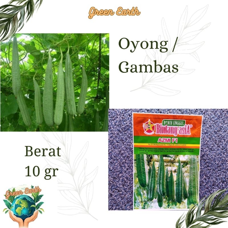 Benih Oyong Gambas Azmi Isi 10gr Produk Bintang Asia
