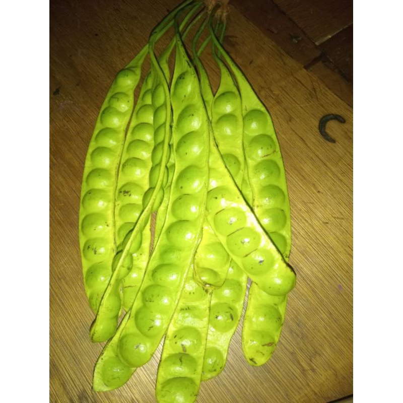 

Pete | Petai untuk 1 kris