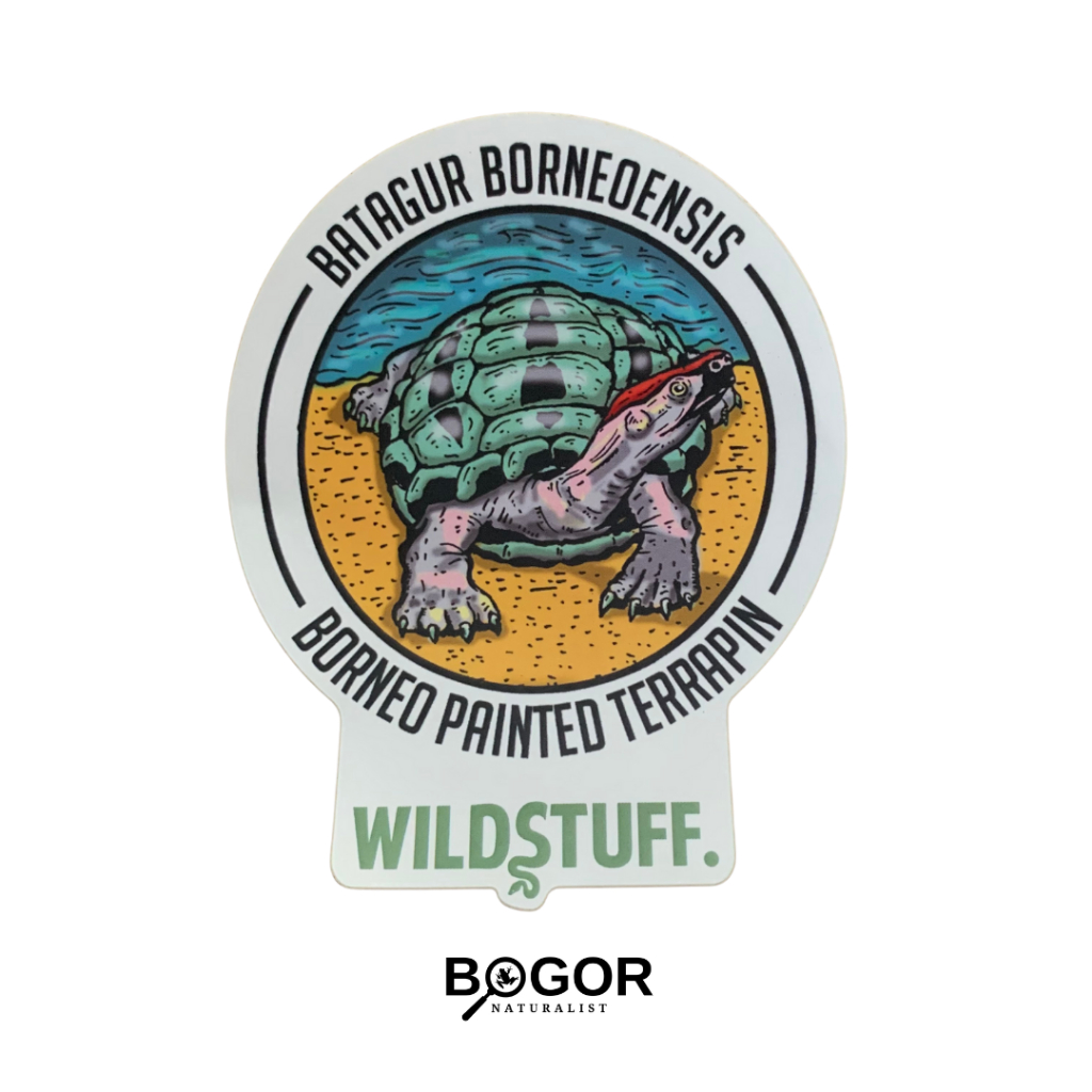 

Sticker Wildstuff Batagus borneoensis