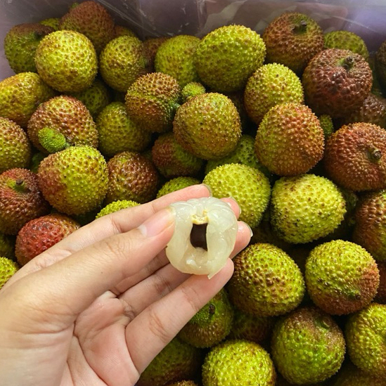 

Leci Madu Hijau | Lychee Madu | Leci Hijau | Chinese Lychee