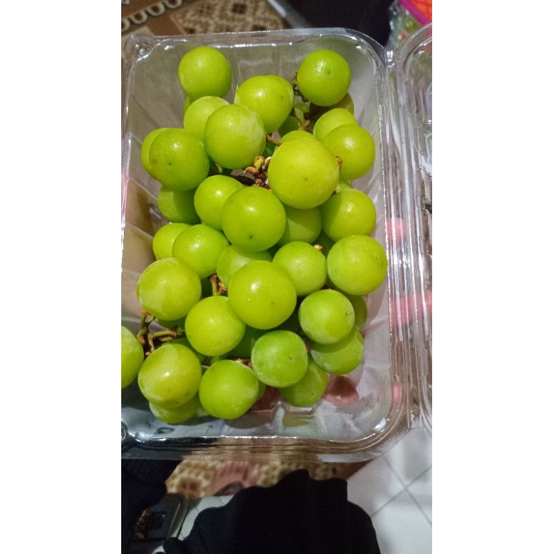 

Anggur shine muscat box |buah segar| |buah segar bandung| |buah import| |buah manis| |kota bandung|