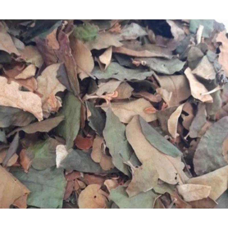 

Benalu jeruk bali kering 500 gram organik-az