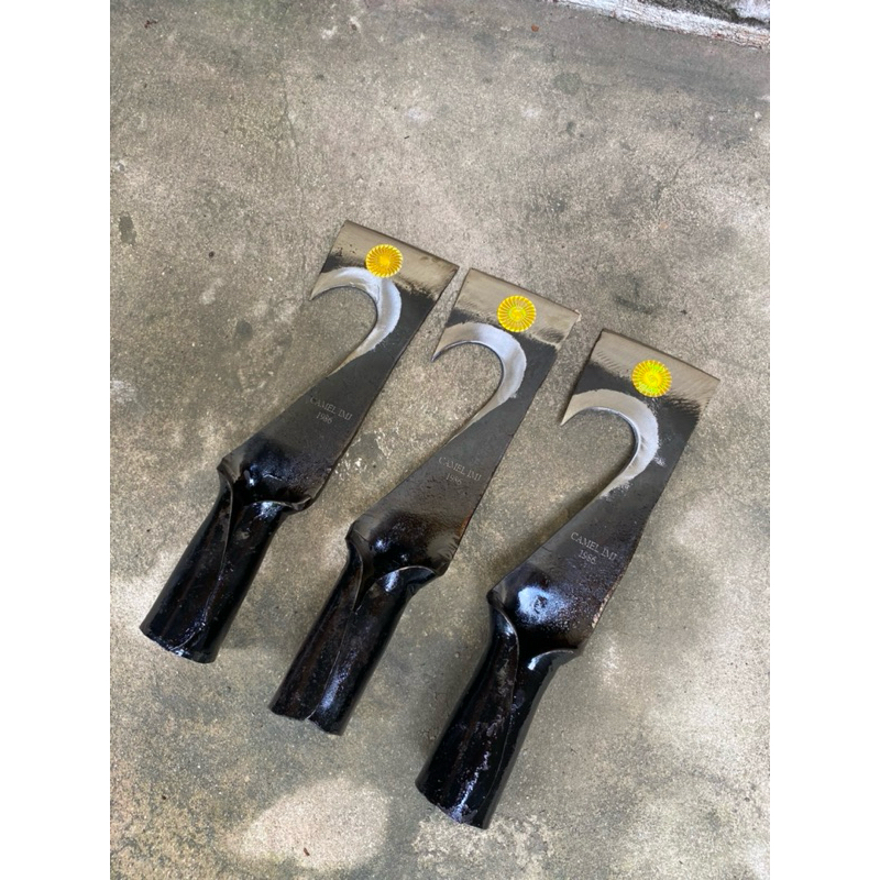 DODOS SAWIT KASTRASI MALAYSIA IMJ KASTRASI DODOS ASLI MALAYSIA