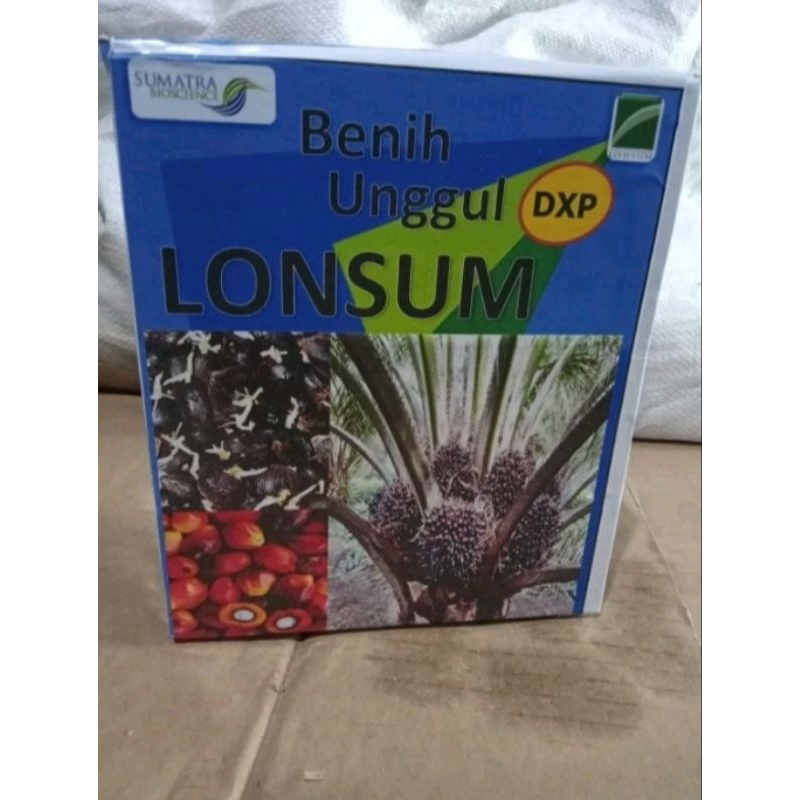 bibit sawit varietas dxp Lonsum