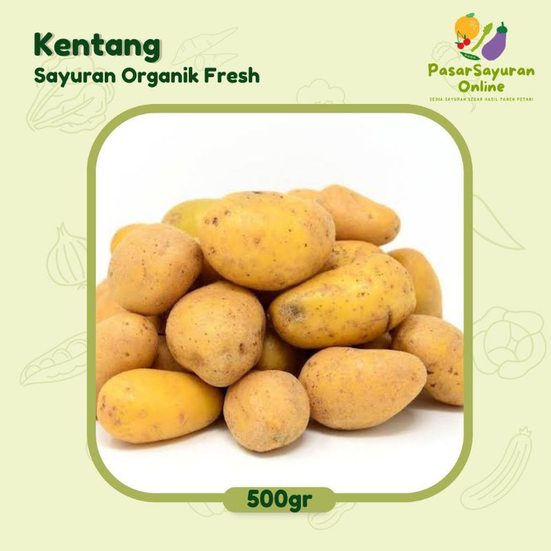 

Kentang 500gr gram Asli Murah Sayuran Fresh Segar Express Instan Sameday Bisa 1kg