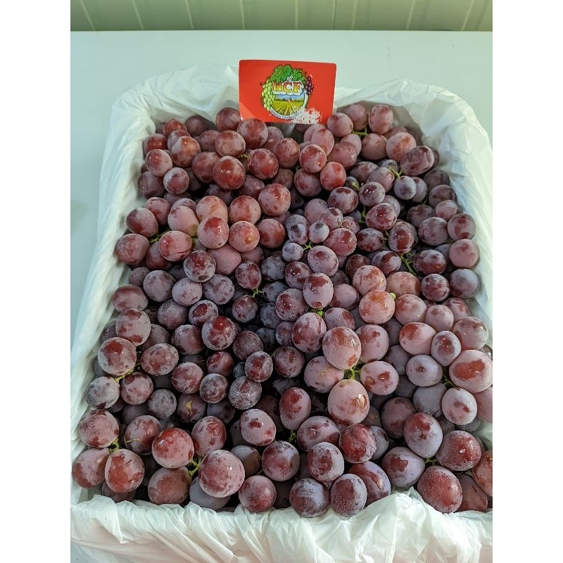 

Anggur red glob aushi 500 gram