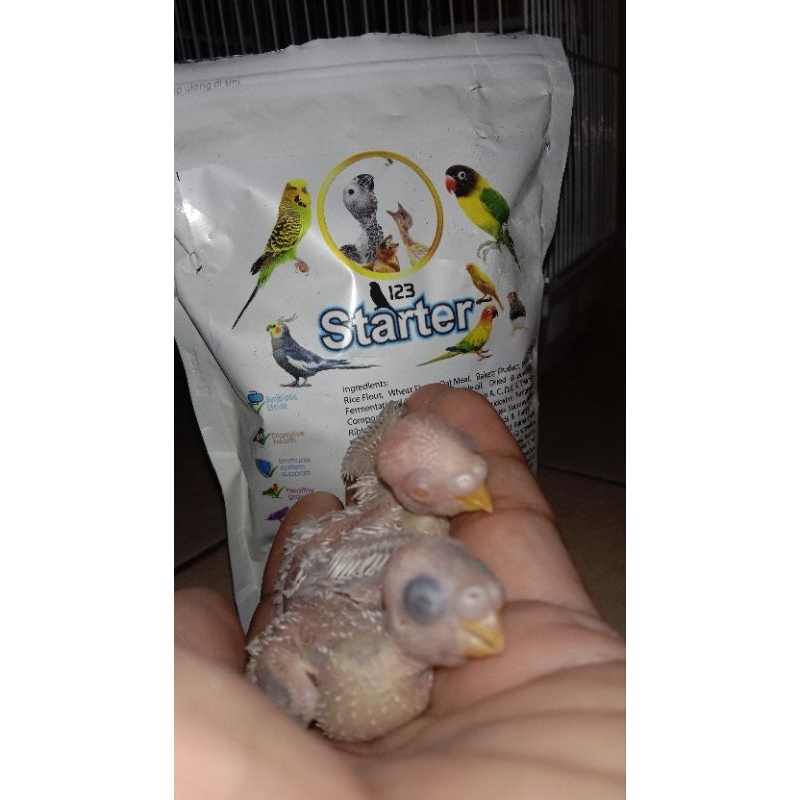 123 Starter 300g bubur loloh finch kenari parrot
