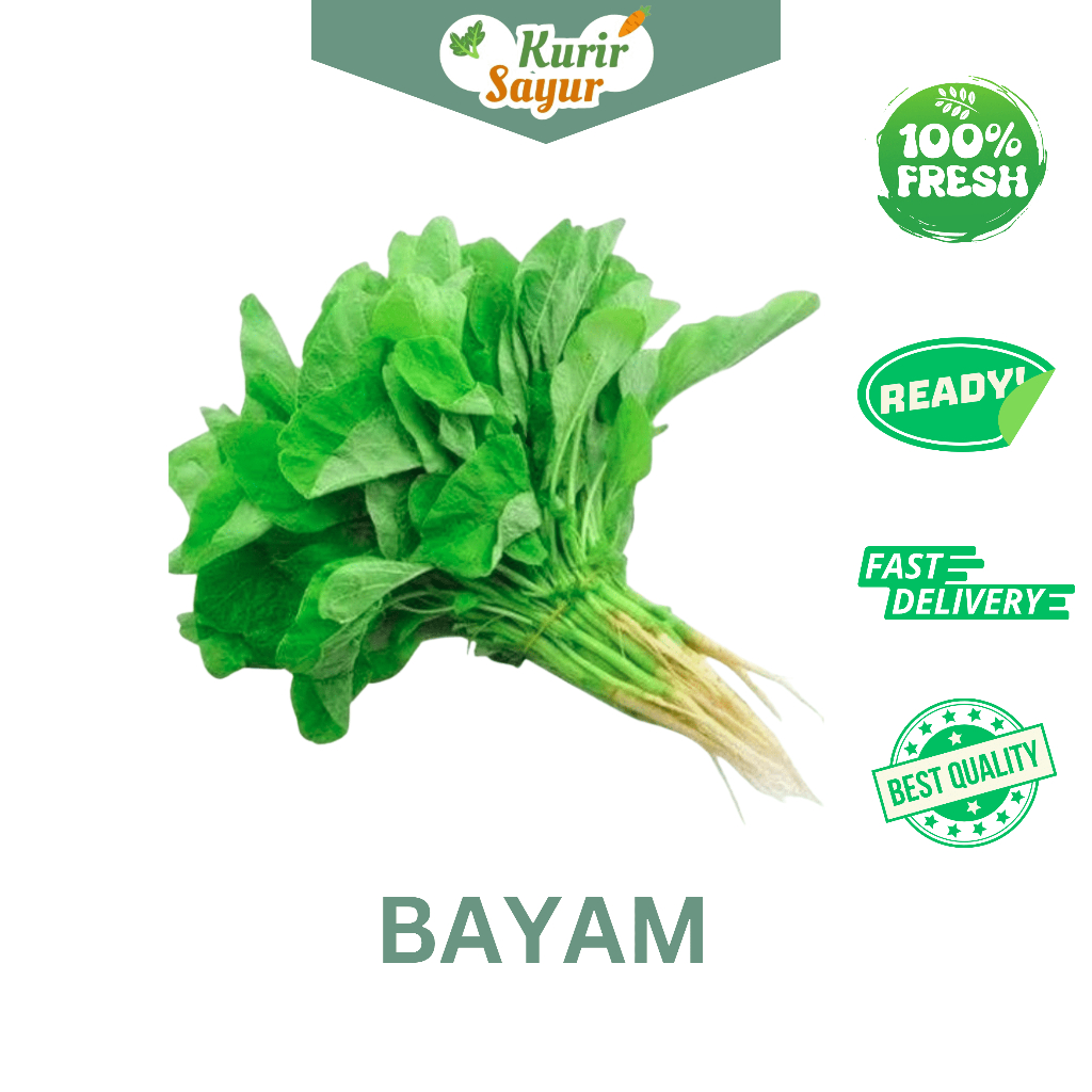 

KURIR SAYUR - BAYAM SEGAR SAYUR DAUN BAYAM PER IKAT