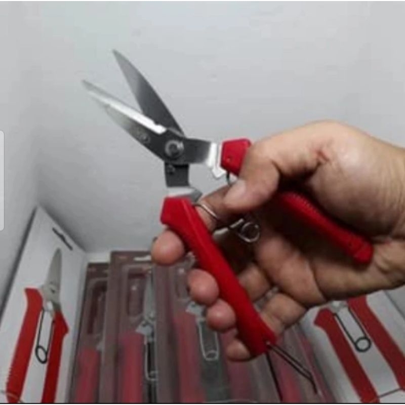 gunting pruning