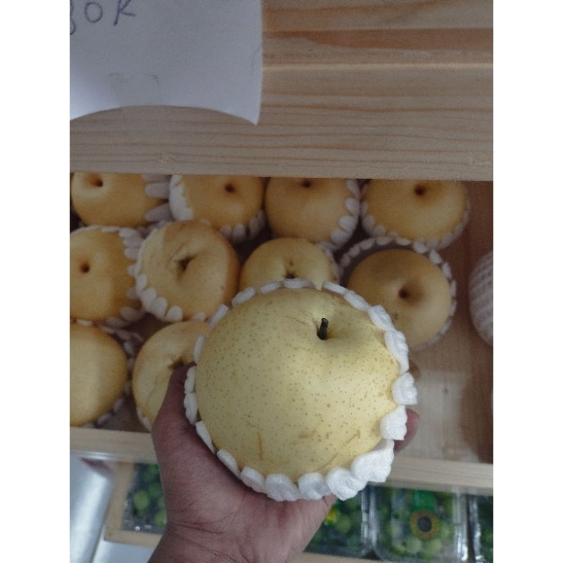 

Pir golden&singo 1 buah