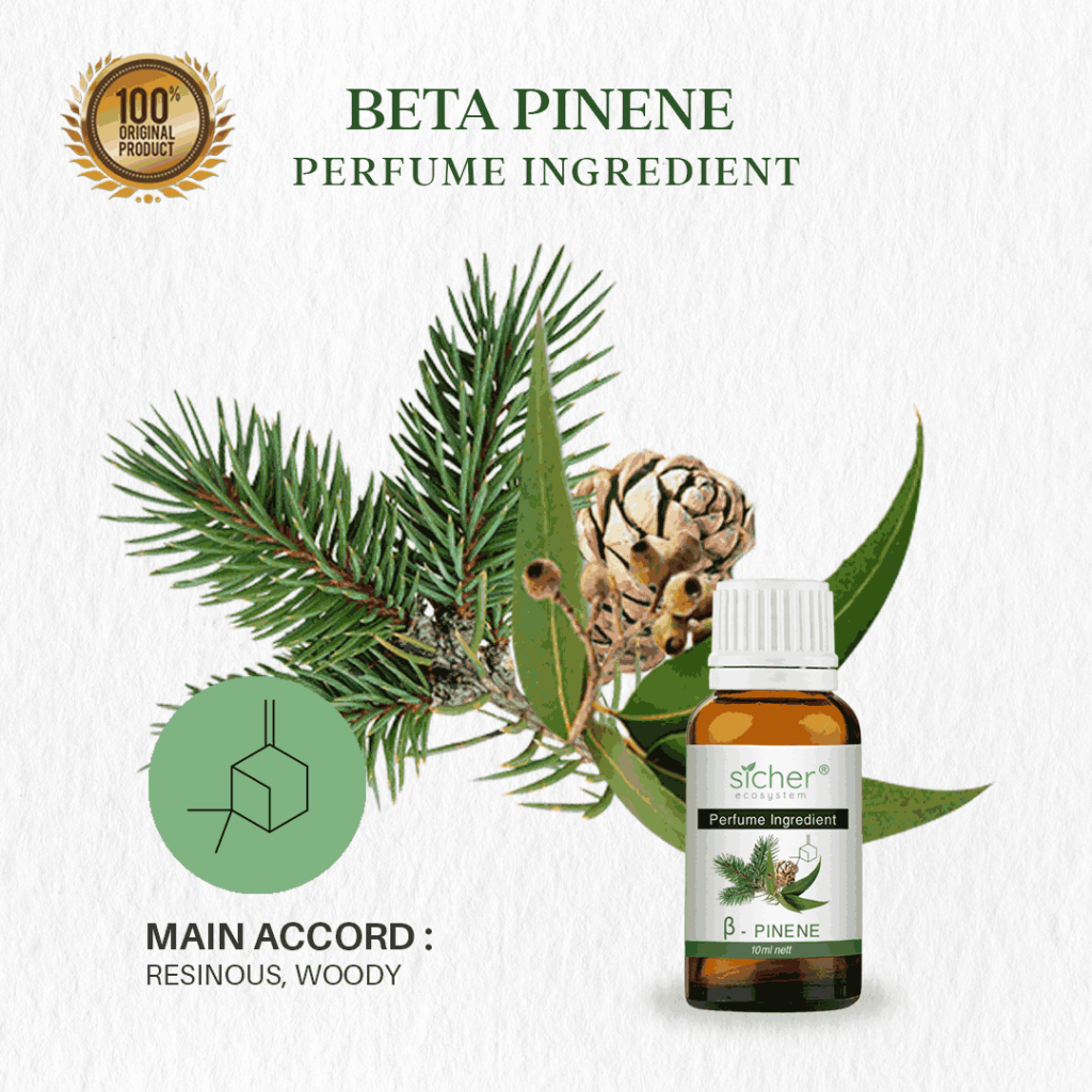 Sicher RAW Material / Perfume Ingredient / Natural Isolate Oil Beta Pinene 10ml