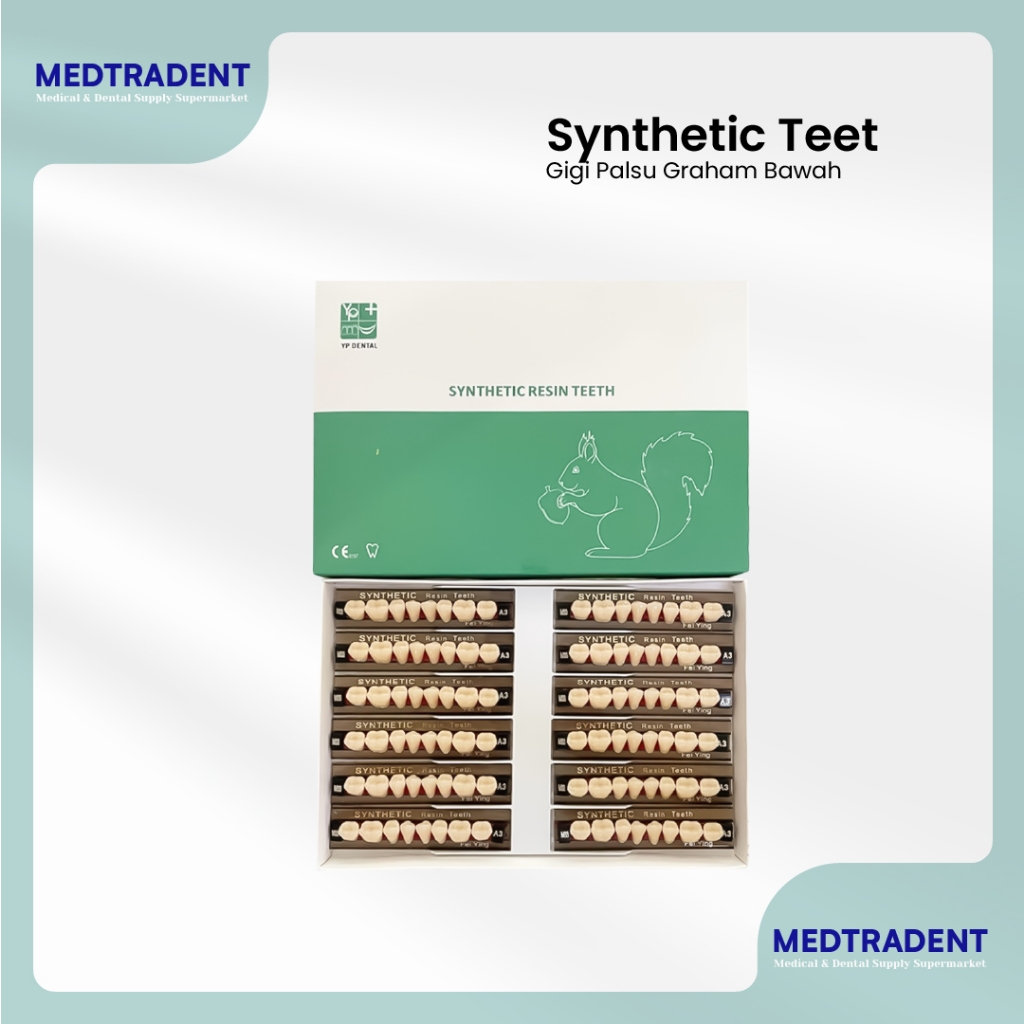 Medtradent - Gigi Sintesis YP Dental Graham Bawah 1 Box
