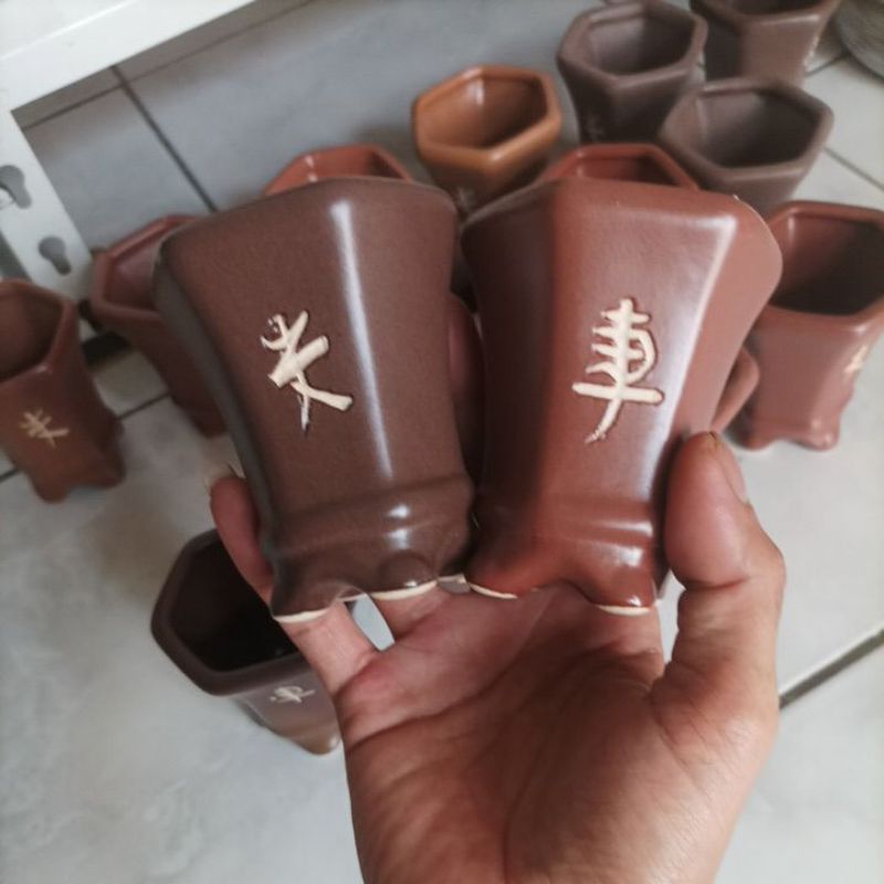 Pot keramik kaktus,bonsai mame cascade