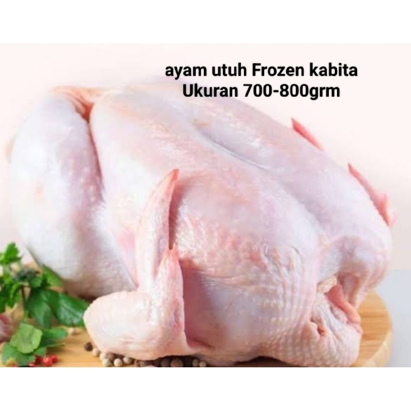 

Ayam1ekor