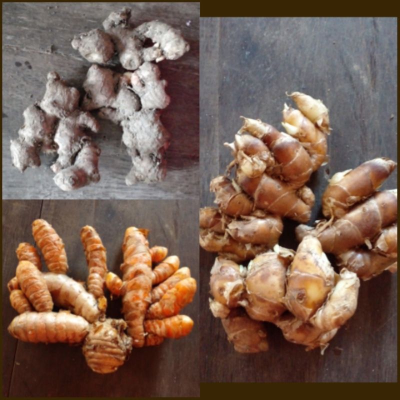 

rempah segar jahe kunyit kencur 500g