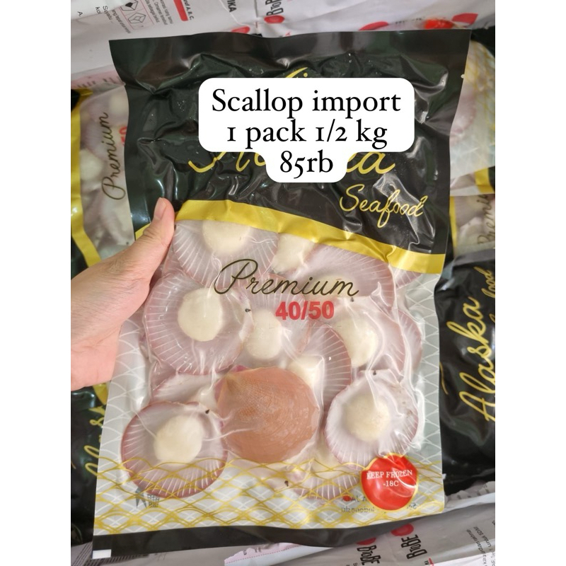 

scallop cangkang