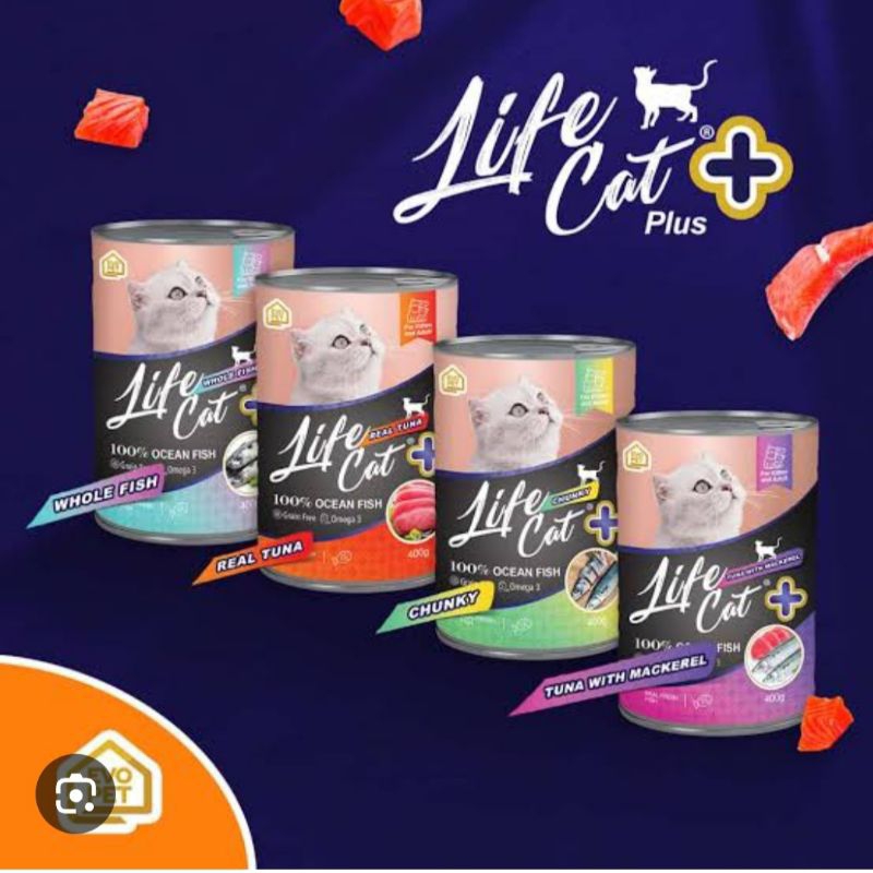 life cat kaleng plus life cat kaleng adult kitten