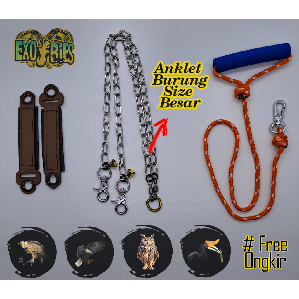 Anklet Elang Anklet Burung Hantu Angklet Elang Angklet Owl Anklet Rangkong Rantai Burung Anklet Bubo