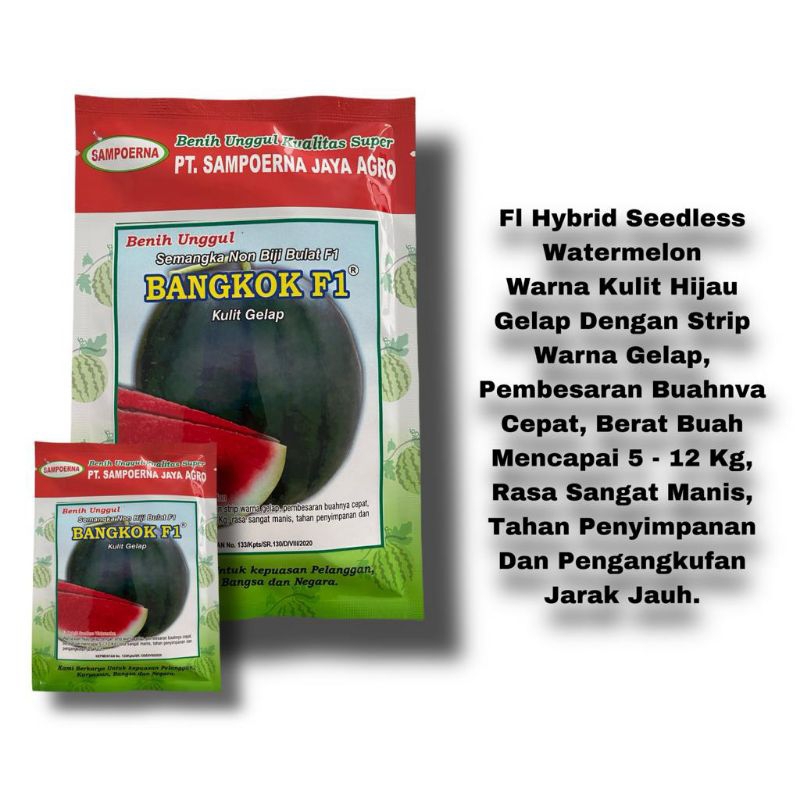 Semangka non biji Bangkok F1