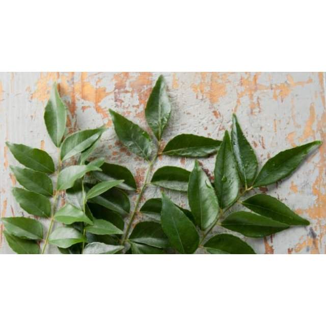 

DAUN KARI SEGAR SALAM KOJA ORGANIK