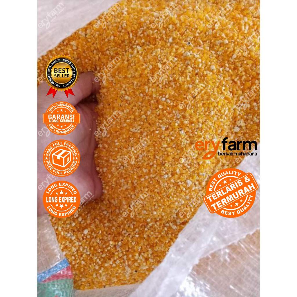 Jagung Giling Pakan ayam burung merpati 1 kg