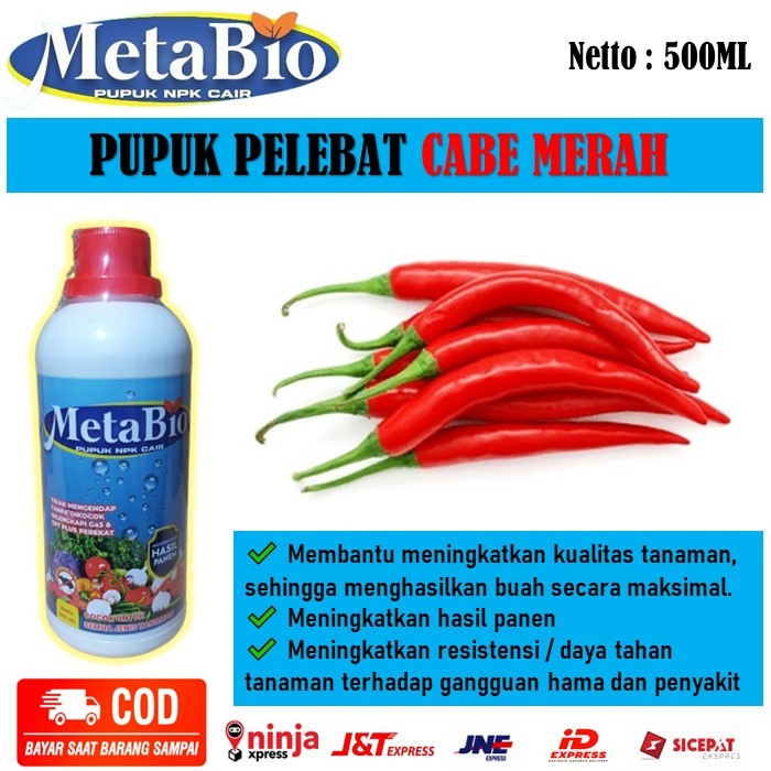Pupuk organik NPK Cair pelebat cabe merah - MetaBio pupuk organik cair untuk pertumbuhan cabe merah 