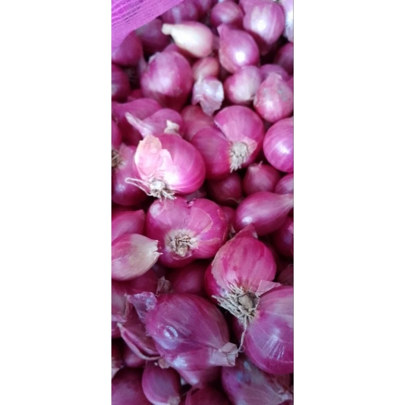 

Bawang Merah 100GR