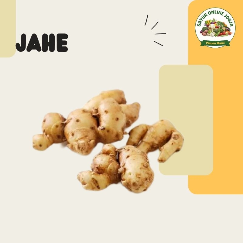 

Jahe 100Gr - PAWON MAMI SAYUR ONLINE JOGJA