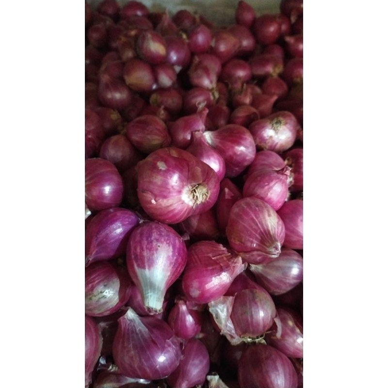 

brambang merah probolinggo/kg