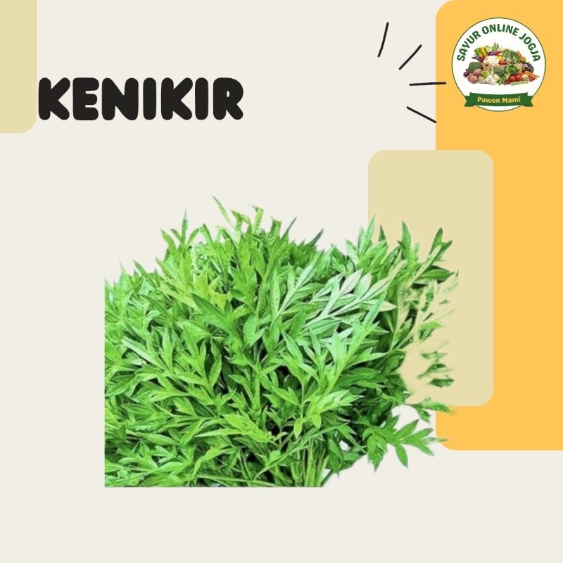 

Kenikir per ikat - PAWON MAMI SAYUR ONLINE JOGJA