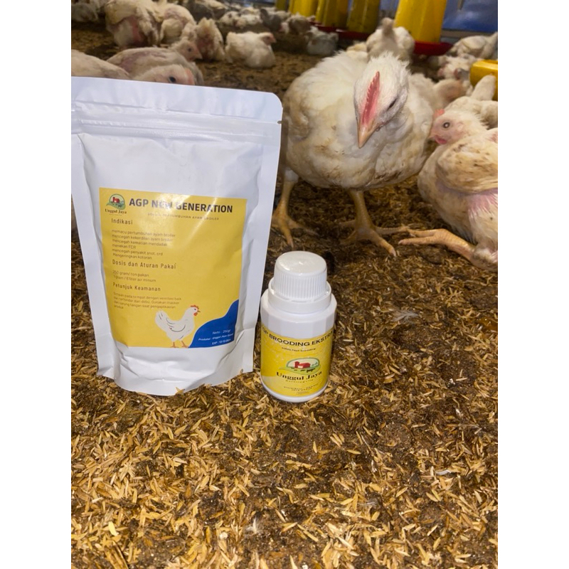 AGP NEW GENERATIOn  + AGP BROODING  ekstra (satu paket)