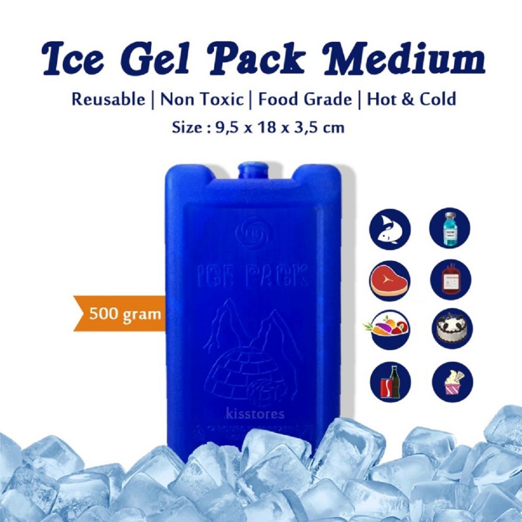 RB22 Kis Icepack Medium Blue Ice Gel Pack in Hard Case Reusable