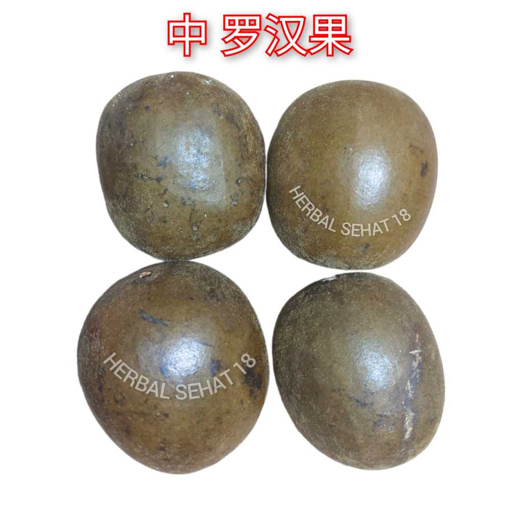 

4 Biji / Buah Lo Han Ko Luohanko Lohanko Lohankuo / Lo Han Guo Lohanguo Luohanguo Luo han Guo