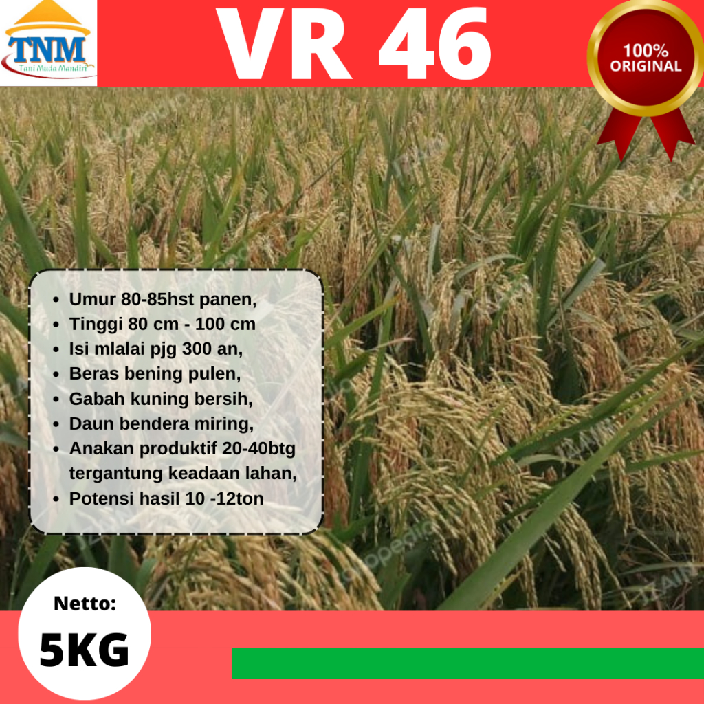 Biji  Padi Unggul VR 46 / VR46 5KG