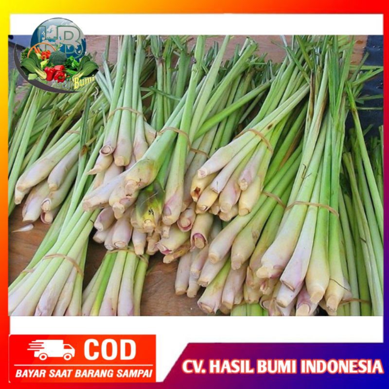 

sereh serai segar 1kg sudah bersih siap pakai