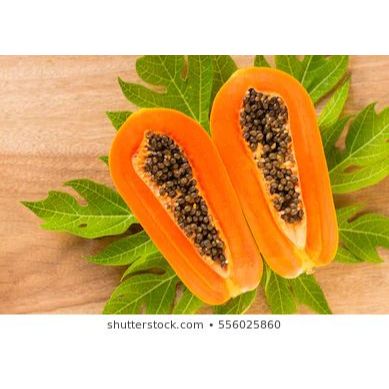 

Queen Market Official Pepaya california