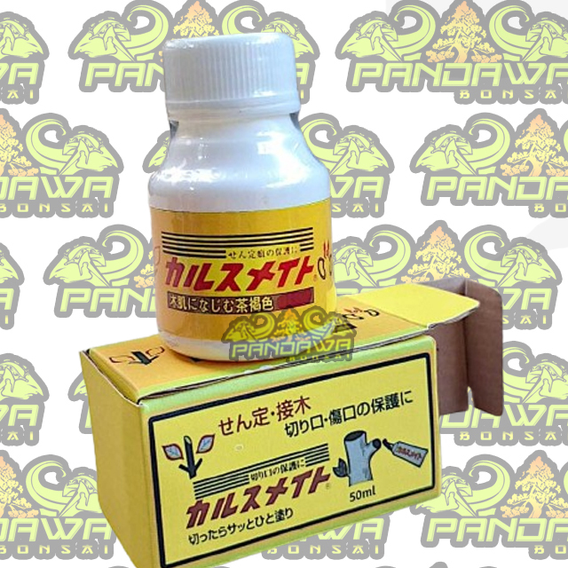 PANDAWA BONSAI-ALAT BONSAI SALAP CAMBIUM FUJI JAPAN