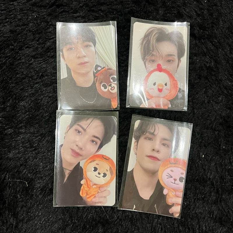Official Photocard DAY6 Entropy Halloween Edition