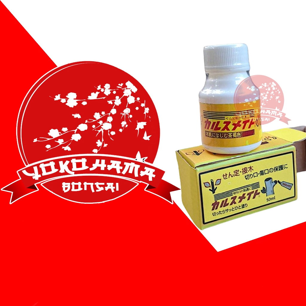 YOKOHAMA BONSAI-ALAT BONSAI SALAP CAMBIUM FUJI JAPAN