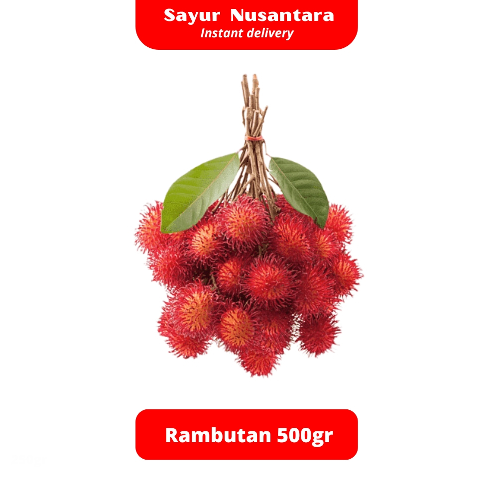 

Buah Rambutan 500gr - Sayur Nusantara