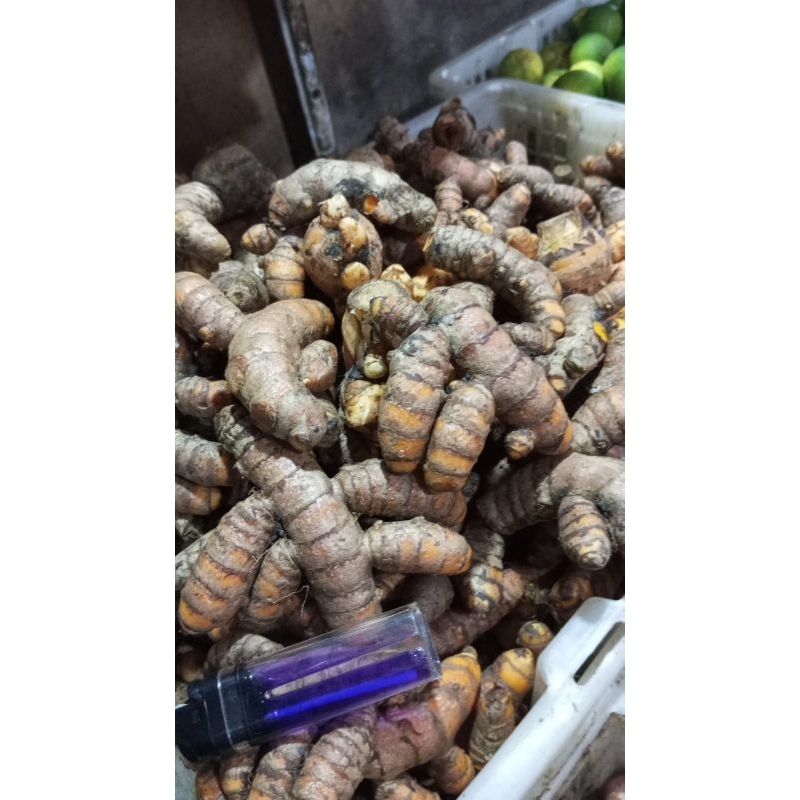 

1 kg kunyit tua gemuk, fresh tampa biang.