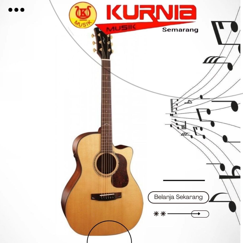 Cort GOLD A6 Natural Glossy GOLDA6 / GOLD A6 / GOLD-A6 Acoustic Electric