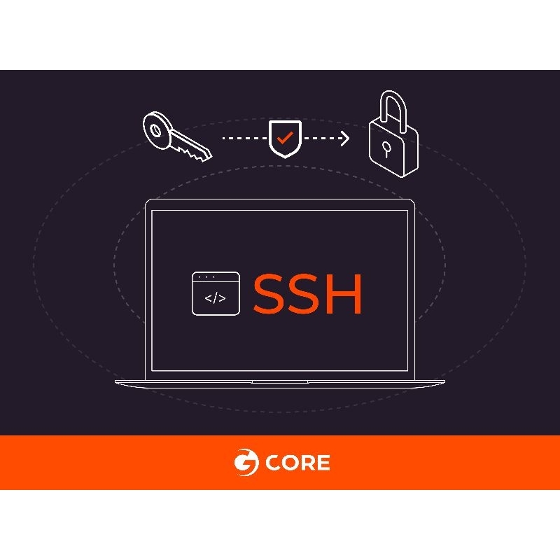 SSH Premium 30 hari, Vmess, Vless, Trojan, dsb.