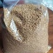 

JAMU TERMURAH BIJI KELABAT /KLABET / GREEK HAY 250 GRAM